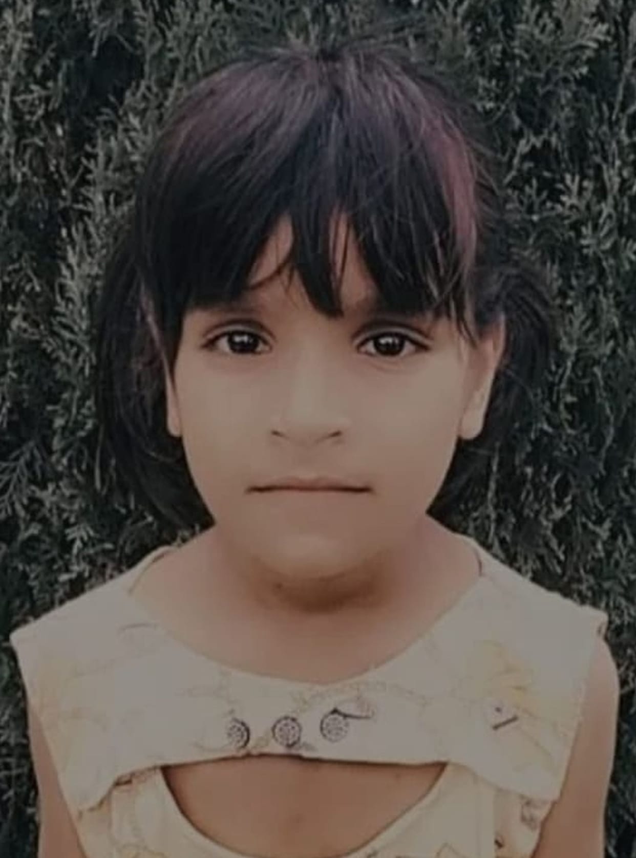 Iron gate fell, innocent girl died