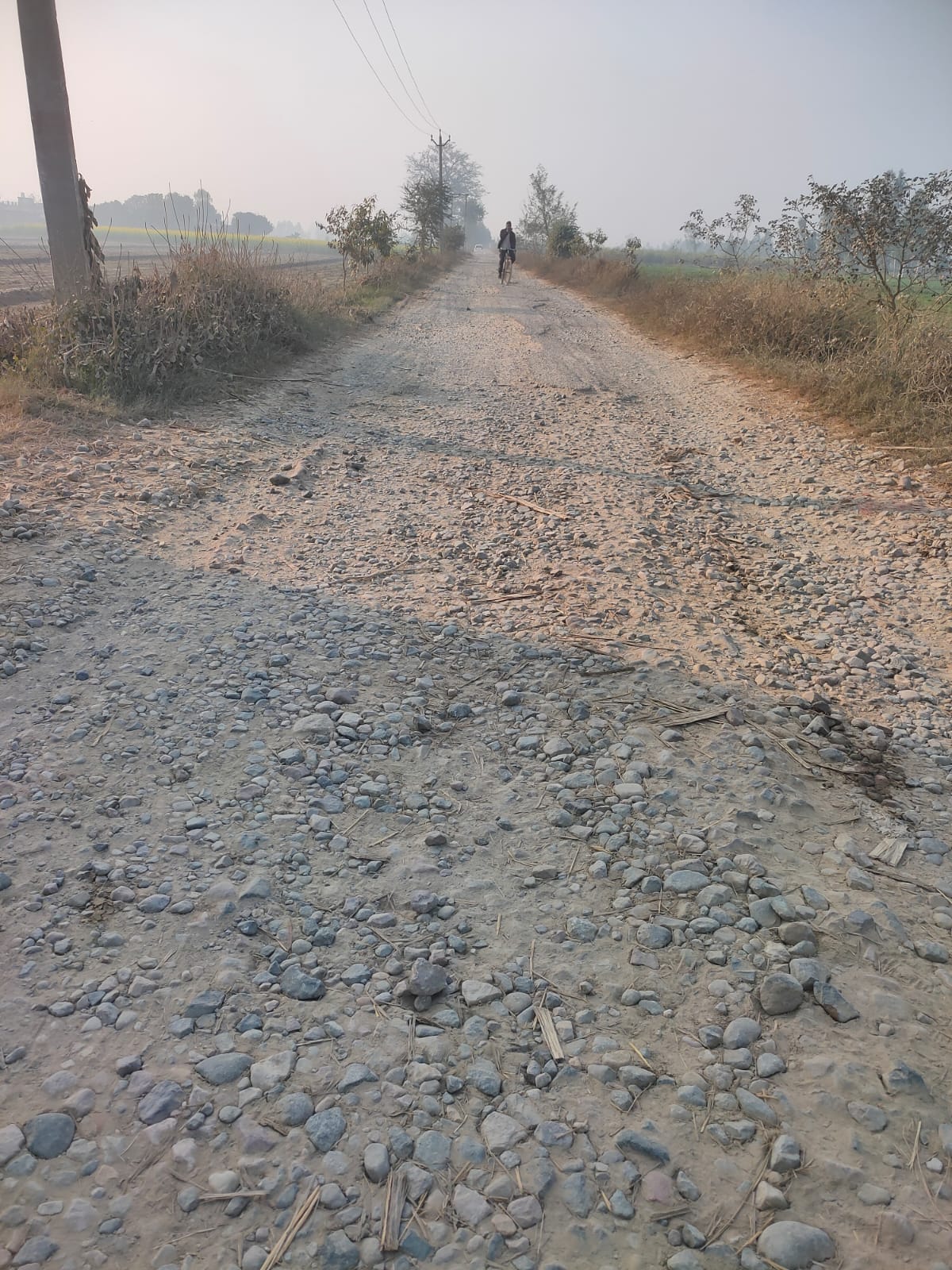 Roads are in bad condition, people are getting injured by falling into potholes...responsible silence