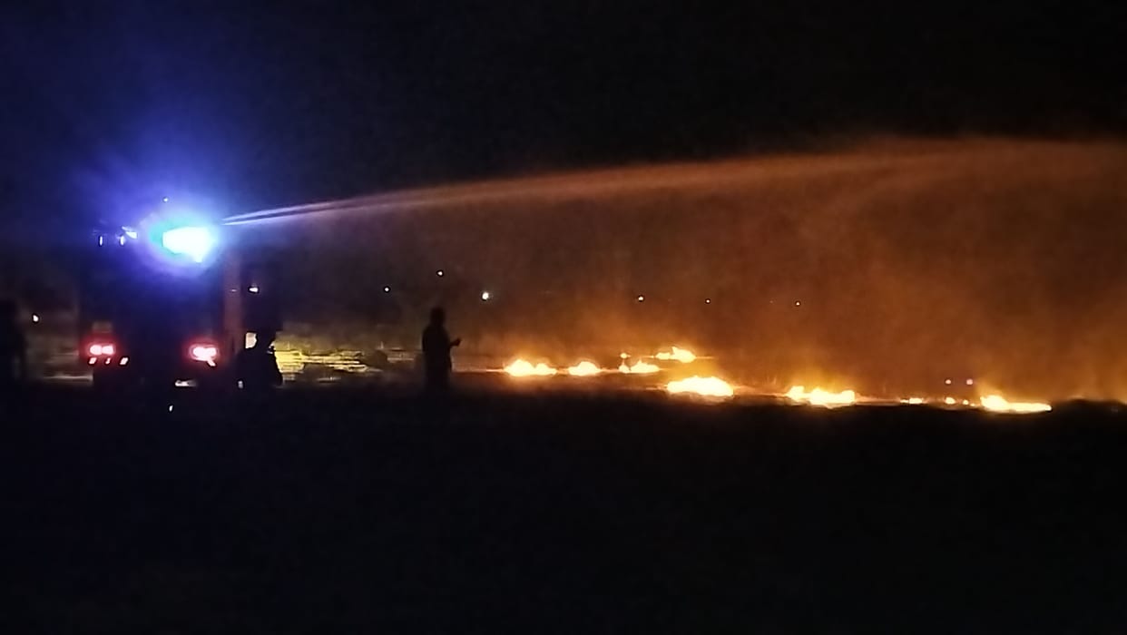 45 cases of fire in fields have been reported in a fortnight after harvest, but no action has been taken in even one.