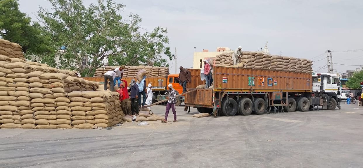 60 percent wheat was lifted in Uchana