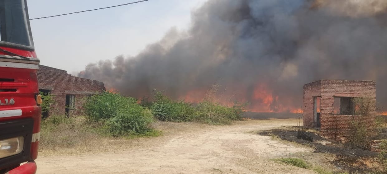 Stubble burnt at seven places, fire brigade extinguished the fire