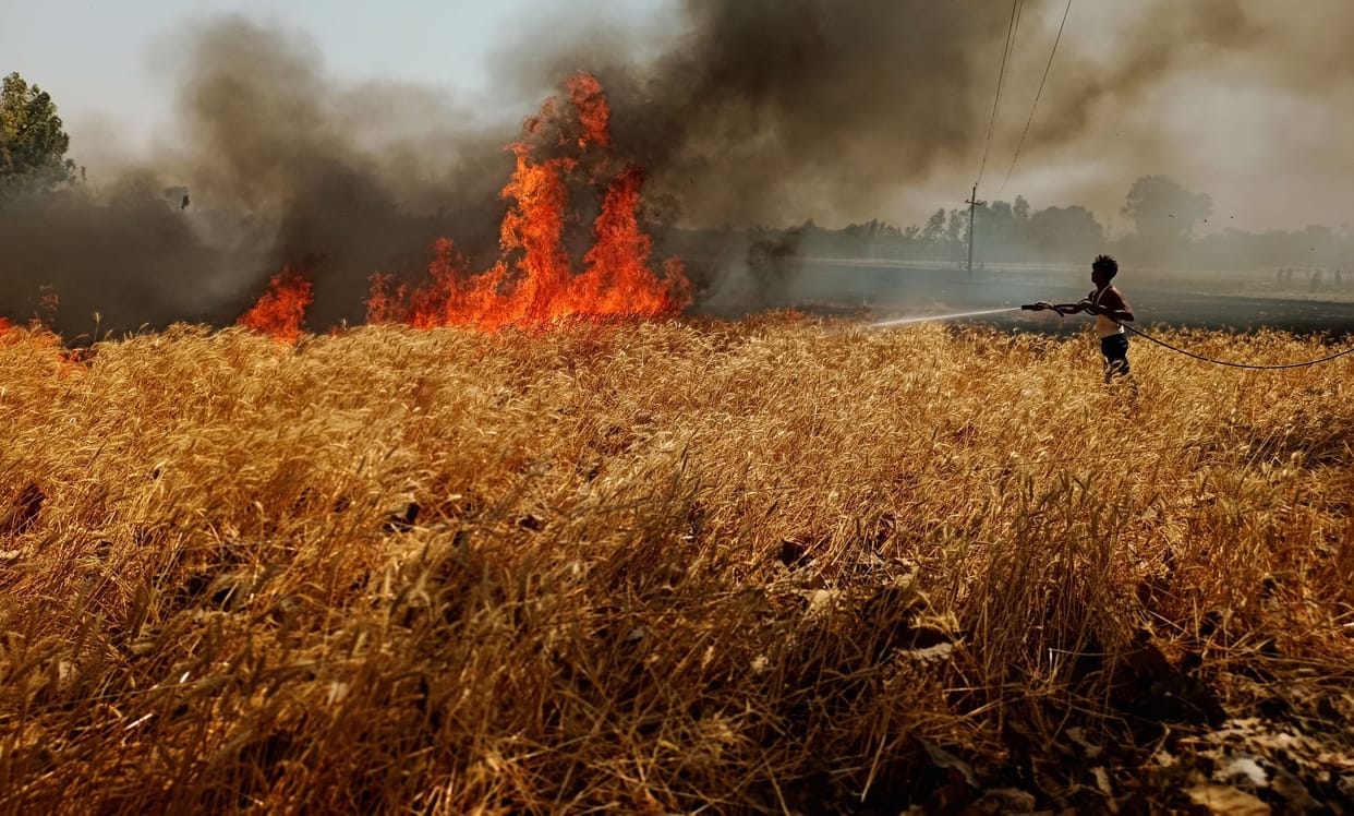 25 acres of wheat crop reduced to ashes due to fire