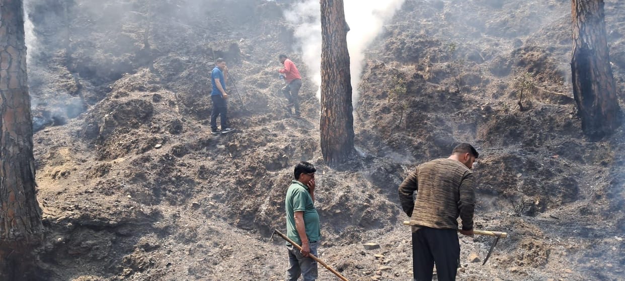 Forest fire out of control, traffic had to be stopped on the highway