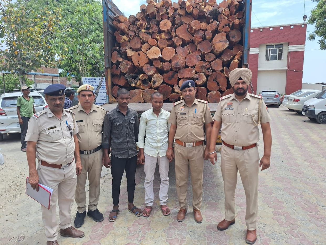 Caught a truck full of well wood