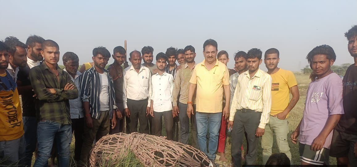 Attacking bull dies, villagers get relief