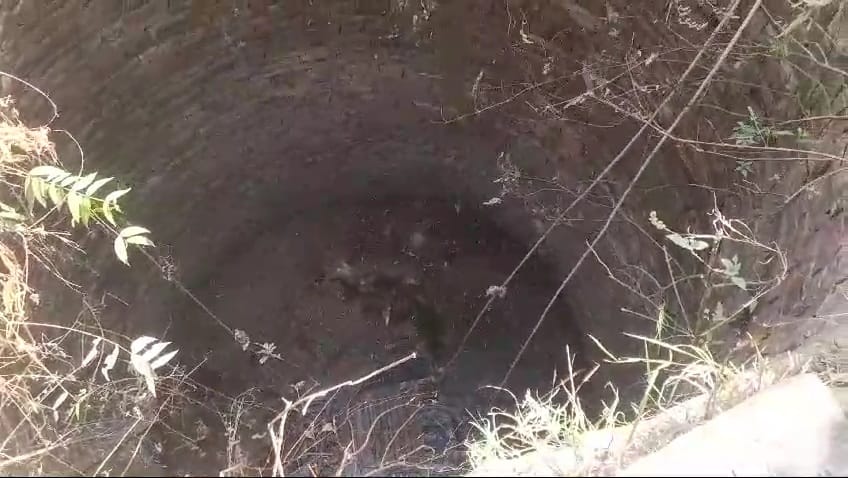 Both children found in a well in Kerbana village turned out to be brother and sister