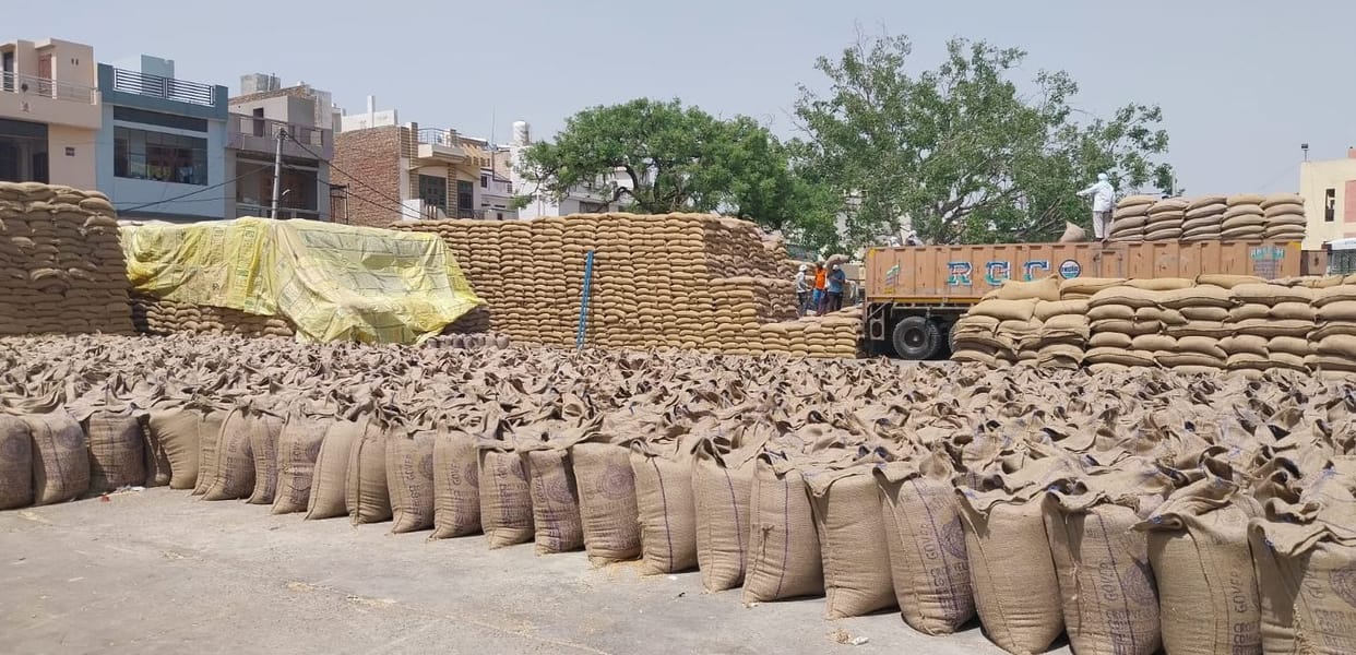 68 percent wheat lifting completed in Uchana
