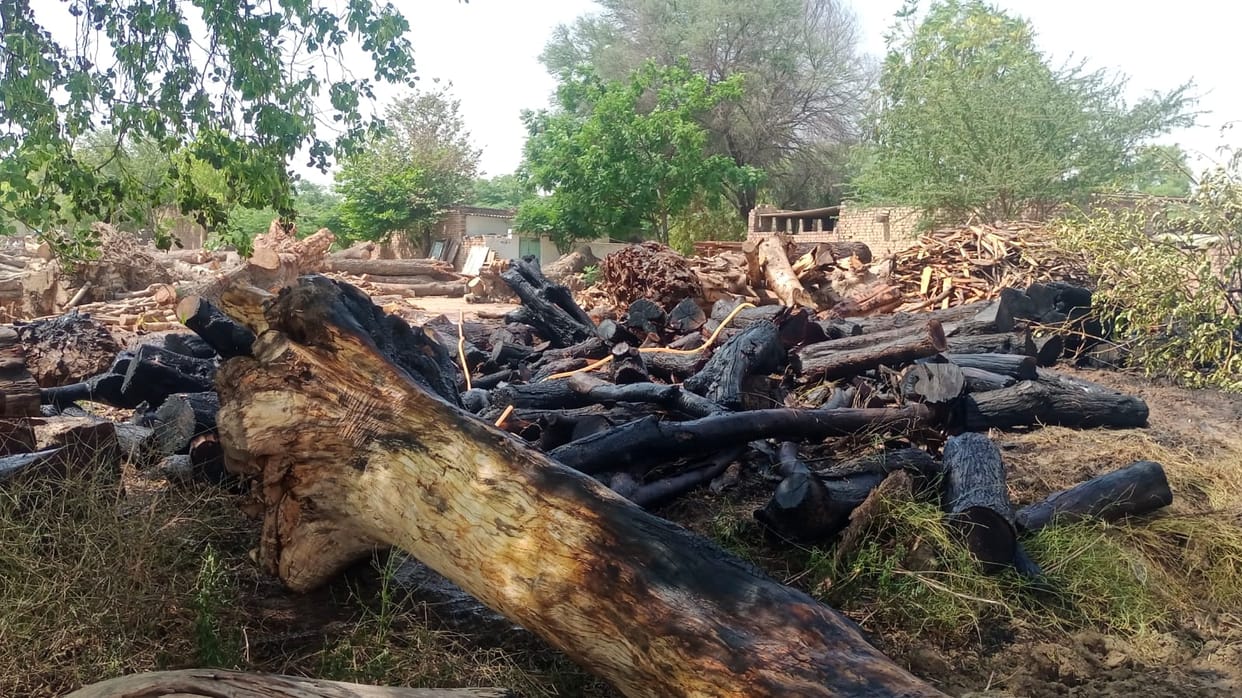 Loss worth lakhs due to fire in Ellenabad Lakkar Mandi