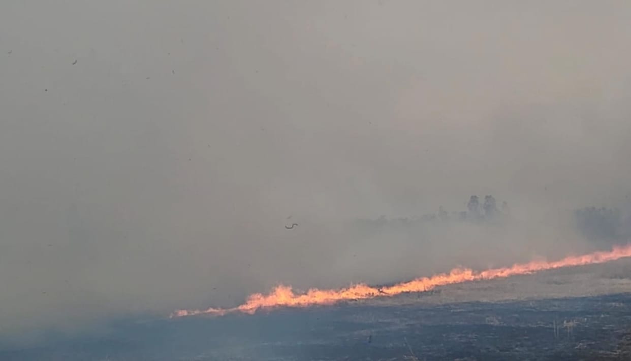 Ashes flying from fields...irritation in eyes increased