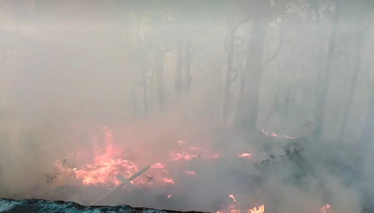 jungal burnt near villa round area