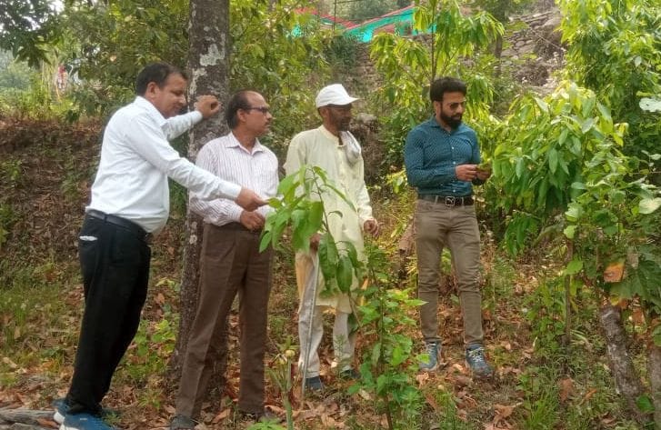Possibilities of coral silk production explored in Kapkot villages