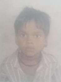 Electric wire fell on a teenager sitting under a tree in summer, he died