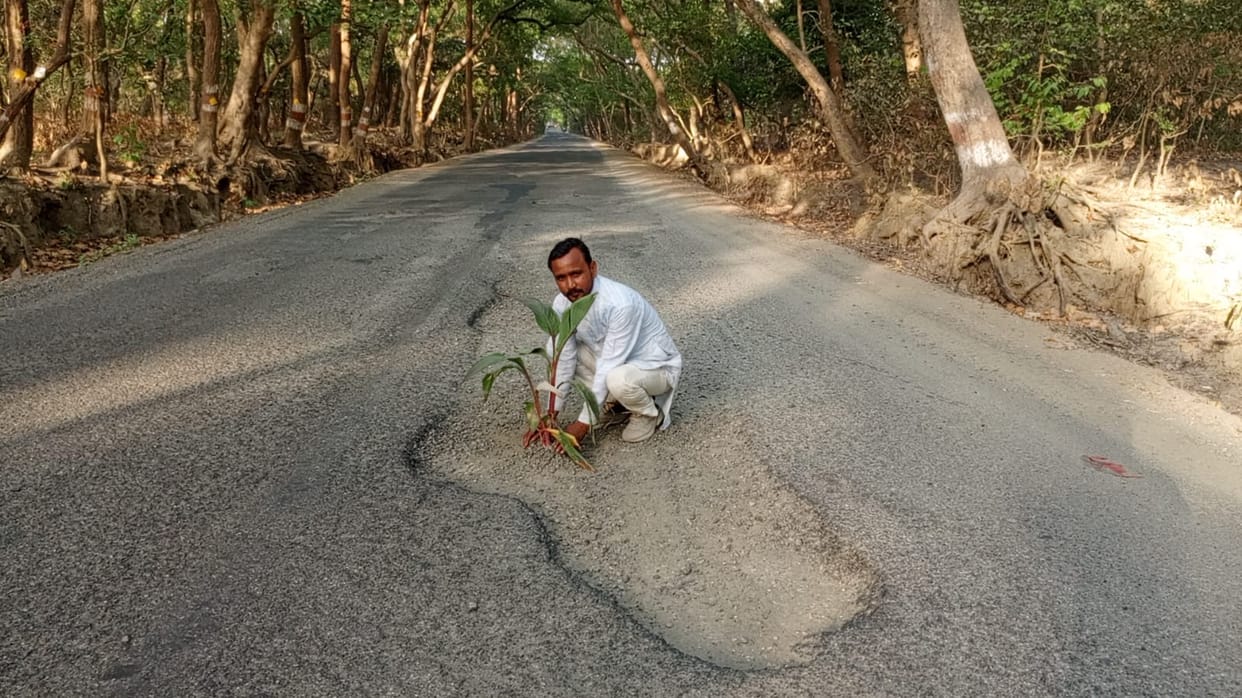People planted banana saplings in the potholes on the road in Pilibhit