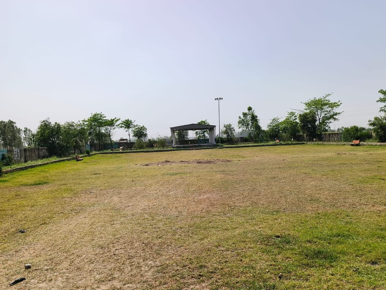 Snakes and scorpions running in the playground