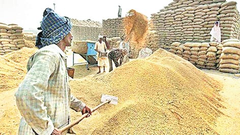 Till now not even one percent of the target wheat has been purchased in entire Kumaon.