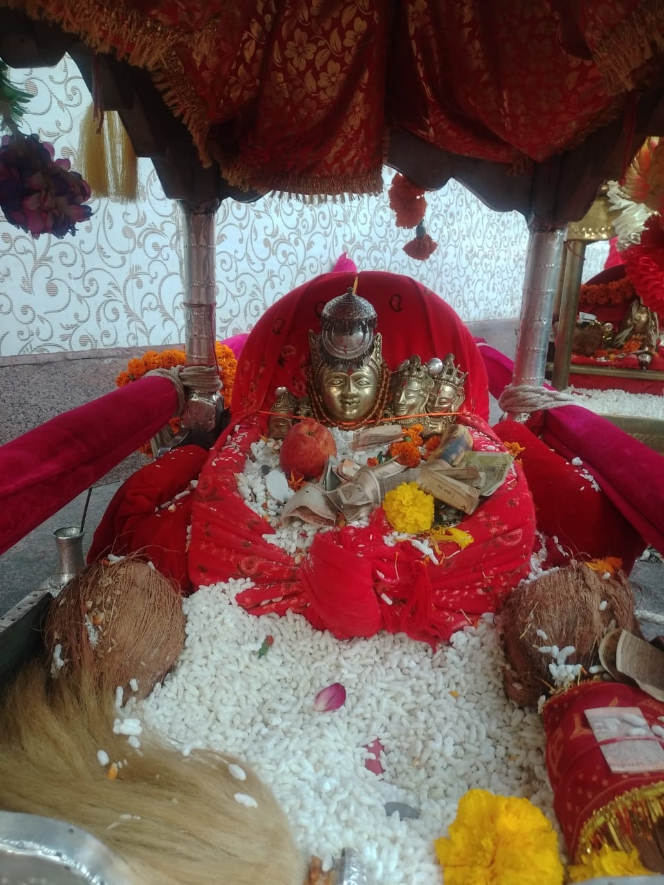 bhagwaan parsuram shobhayatra will we organised in dadhahu on 9 may