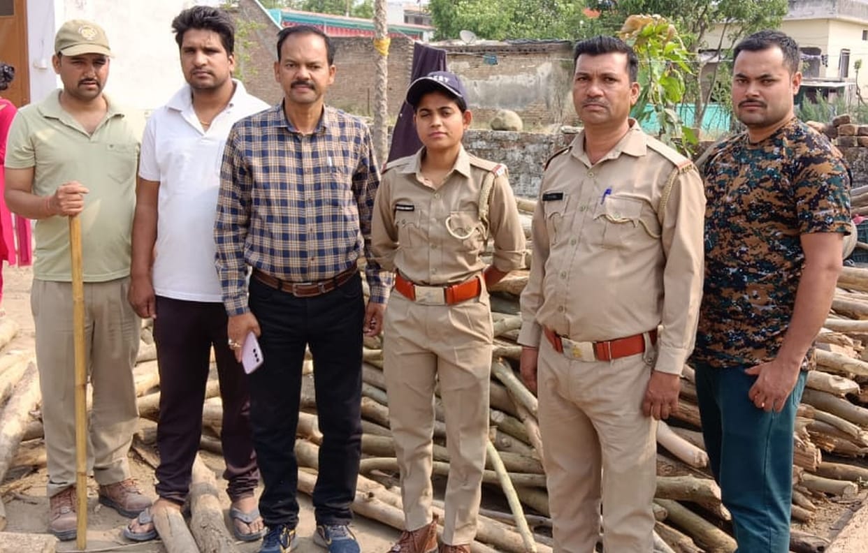 Forest personnel caught a highway full of gilts