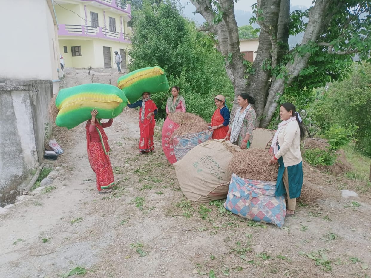 Pirul Seven units will be set up to make briquettes from sawdust Uttarakhand News in hindi