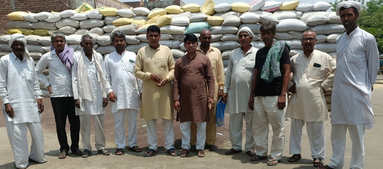 Farmers were deprived of selling 40 percent mustard.