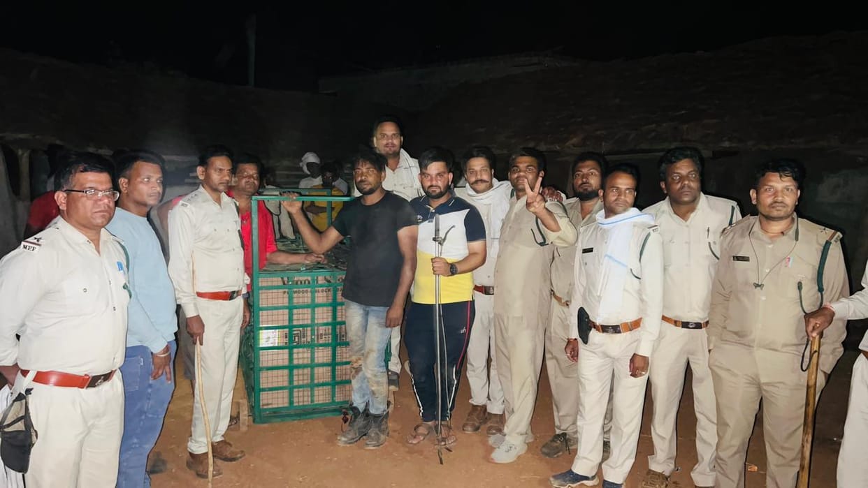 When! Snake catcher Parvez of Vidisha district rescues leopard, gets reward of Rs 3,000