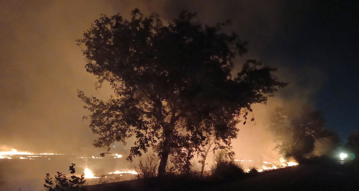 Forests are burning daily in 150 acres, administration is careless