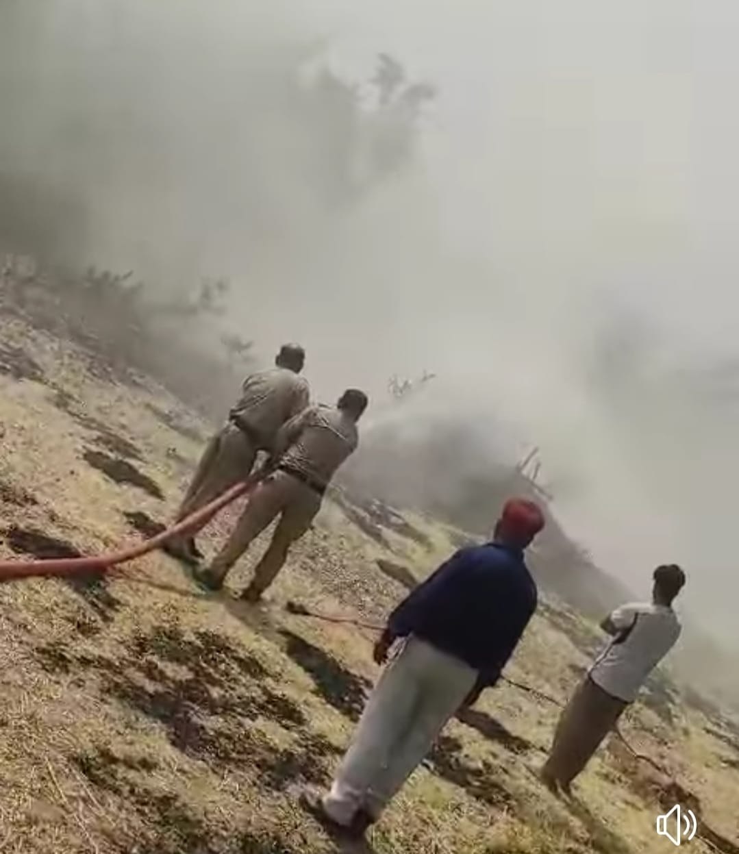 timber fire