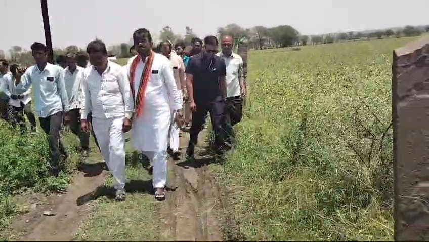 Damoh News: Animal Husbandry Minister inspected crops damaged due to hailstorm, said-100 percent loss to crops