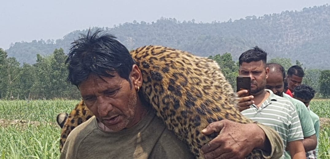 TV artist carried Guldar on his shoulders in filmy style