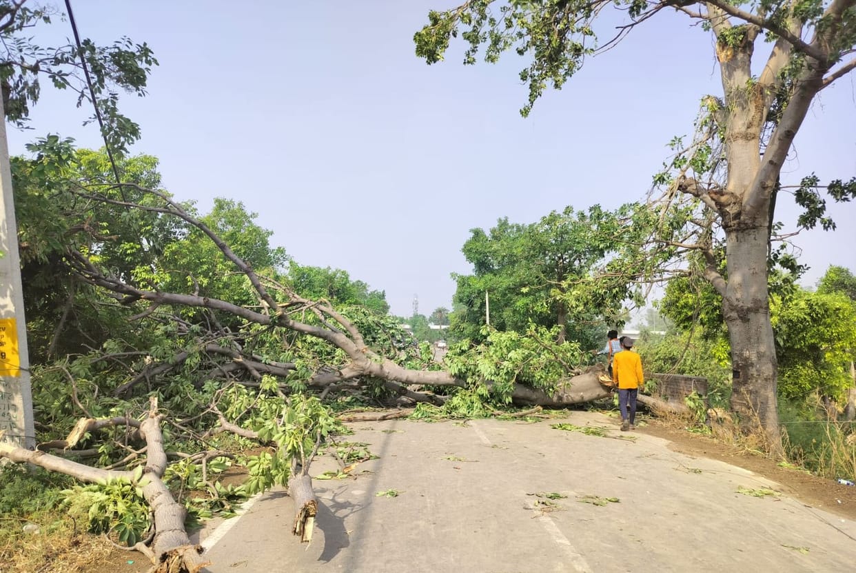 1456 pillars and more than seven thousand trees were broken due to the storm, blackout lasted for 18 hours