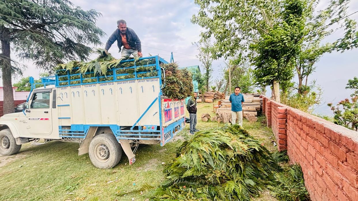 forest team recover 8 kwintel furn from picup