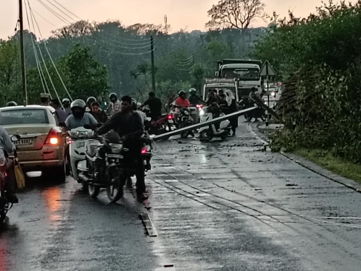 Temperature dropped due to rain and storm late in the evening, electricity supply halted due to falling of poles at many places