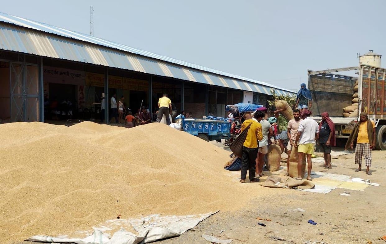 4.2 lakh farmers registered for wheat sale in 42 days In UP 6.5 lakh metric tonnes have been purchased so far