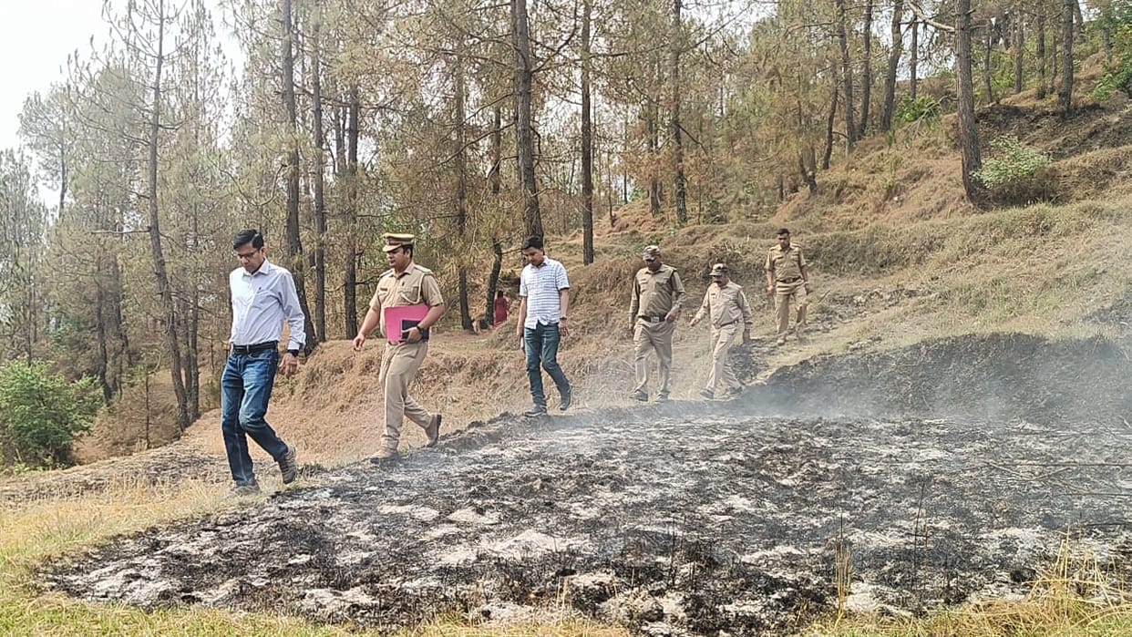 Forests blazed again in Pataldevi, Badechina