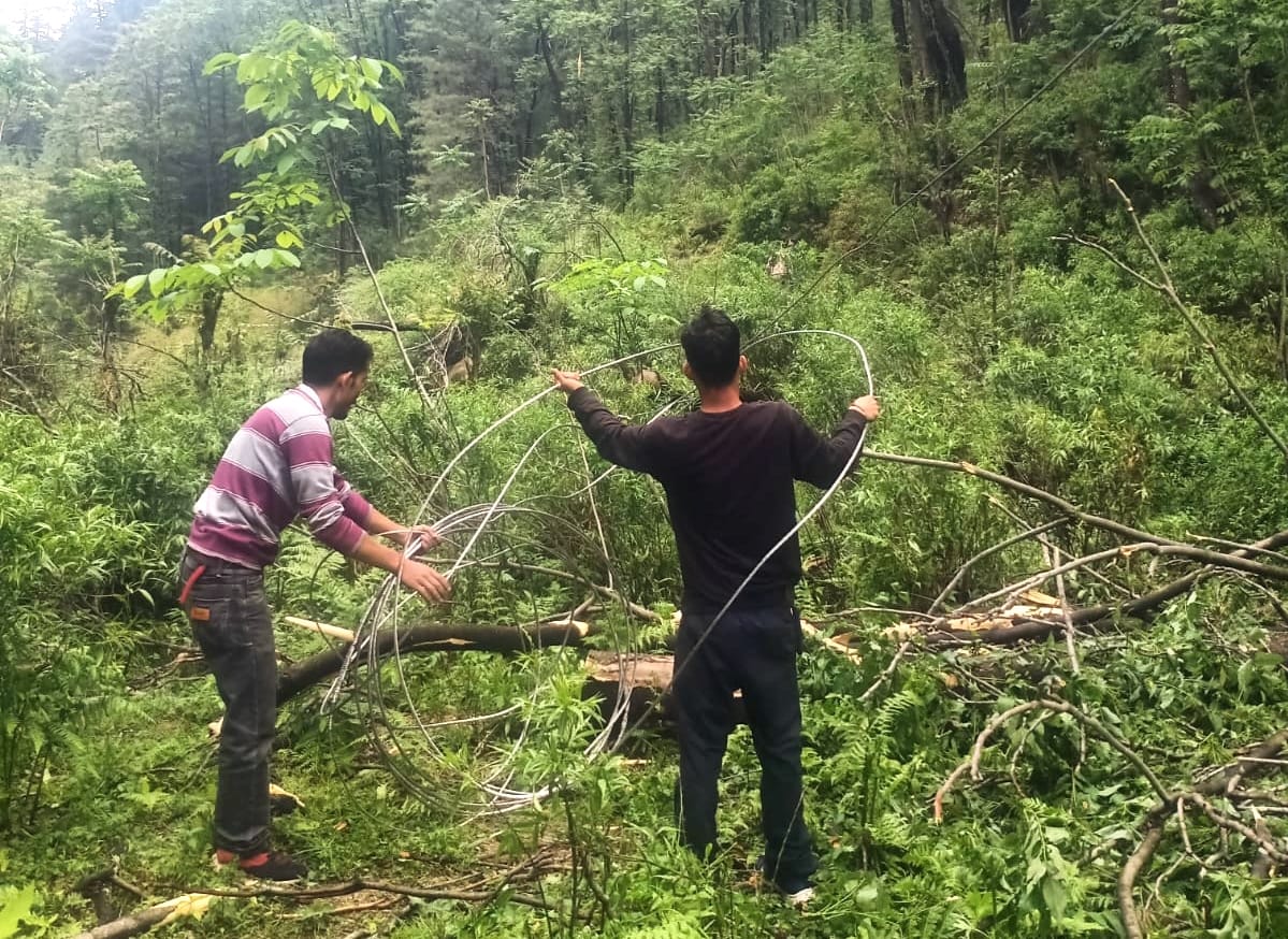 There was a 20-hour blackout in Jibhi due to trees falling on power lines