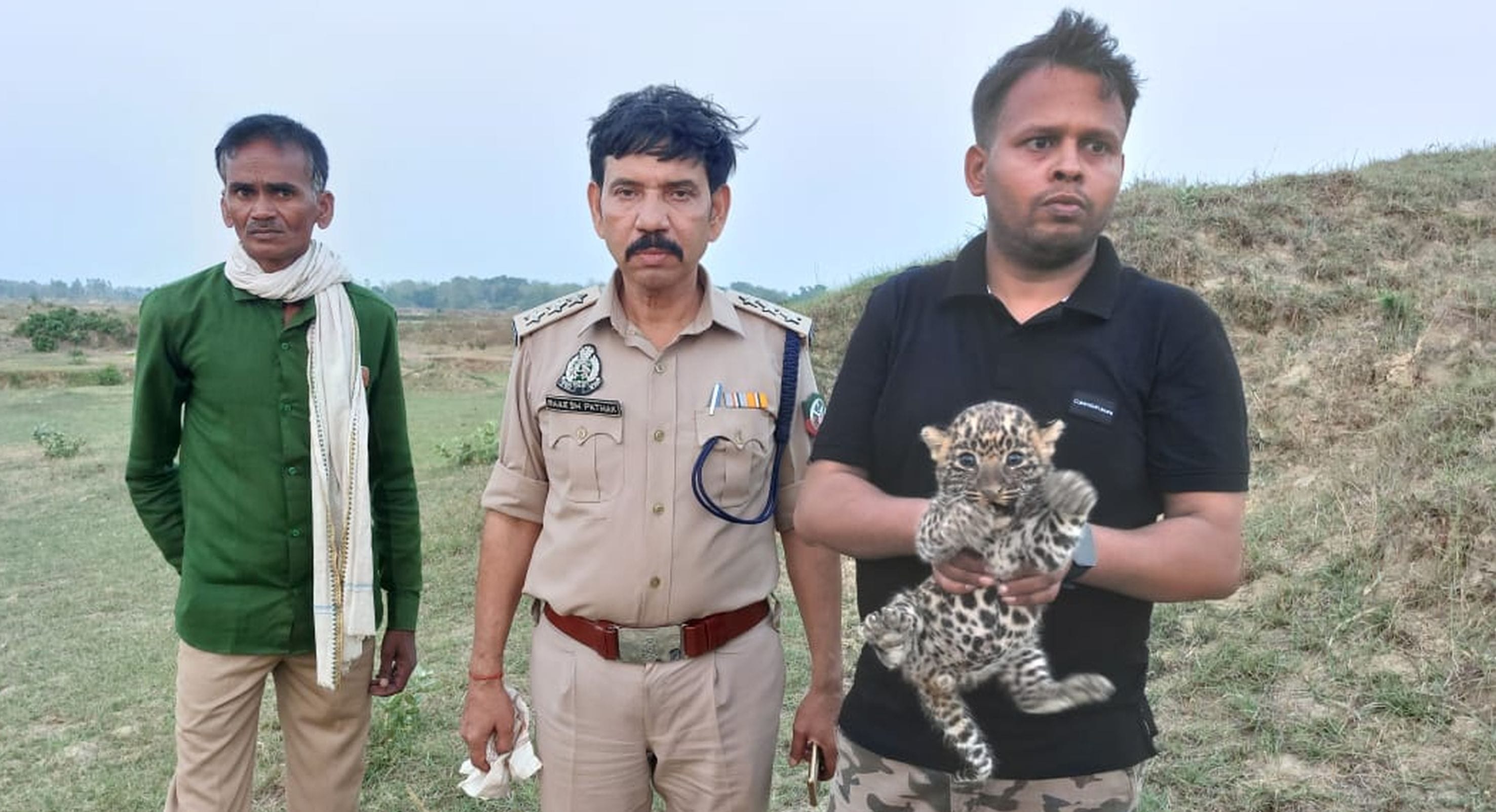 Two leopard cubs found in ruins