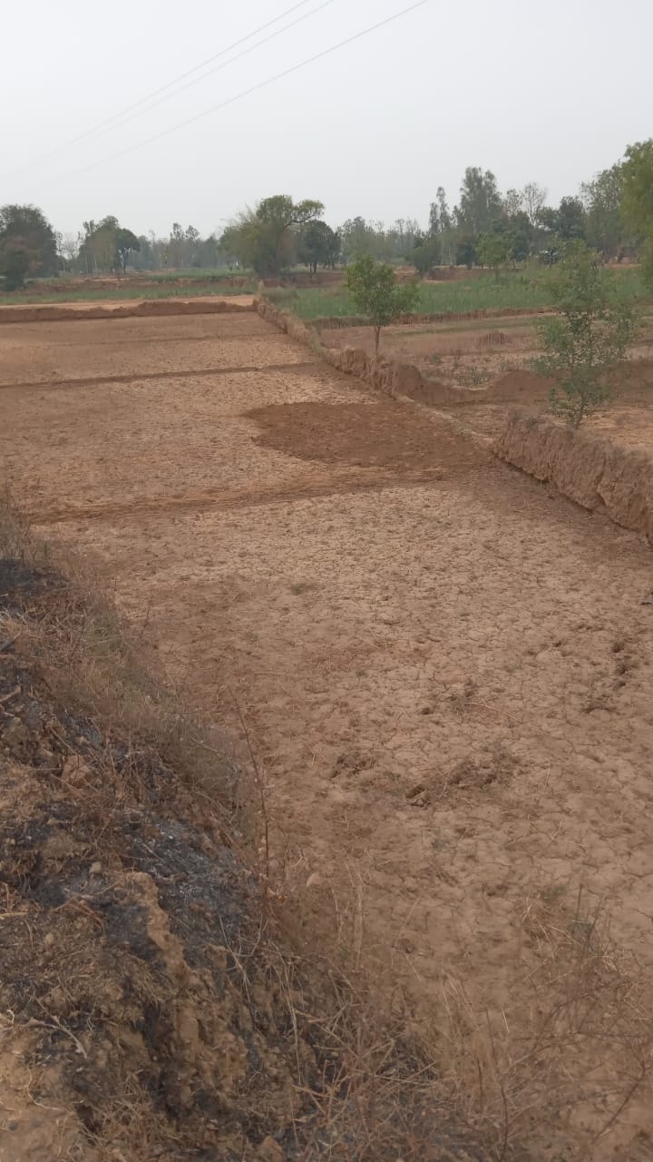 Construction of ring road will start after elections