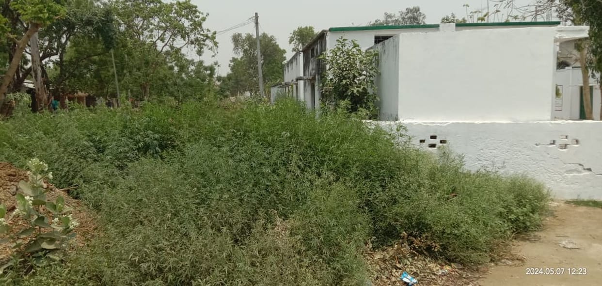 Gave up cleaning of villages under the guise of election duty
