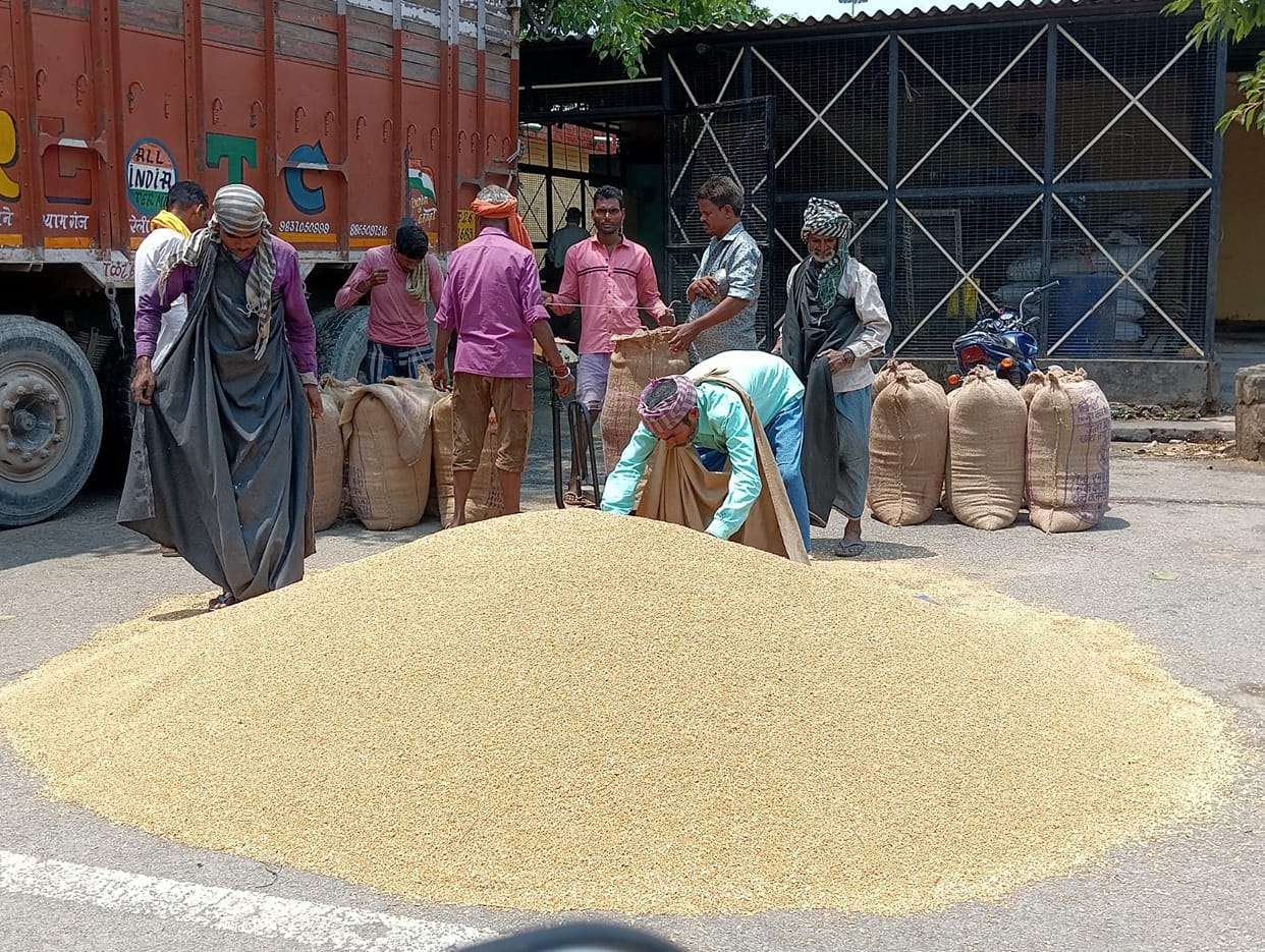 After strictness, wheat procurement reached 3.21 lakh quintals