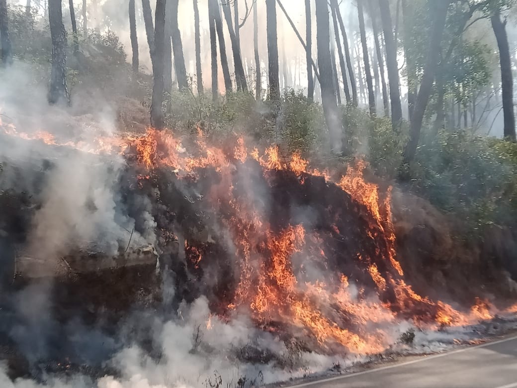 Fire broke out in the forest adjacent to the platform