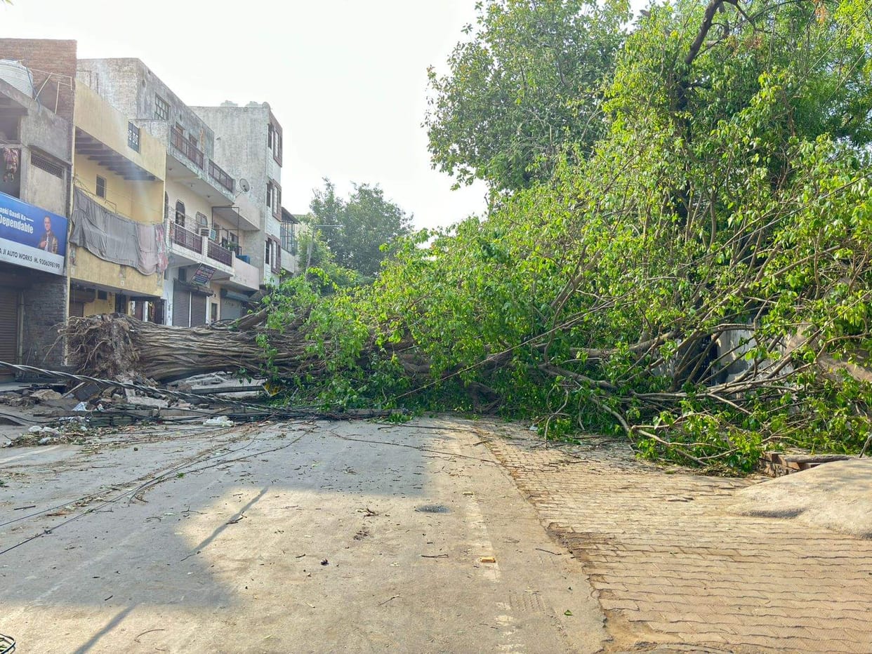 7 pillars broken in Jhajjar due to late night storm, two transformers damaged, 70 trees broken