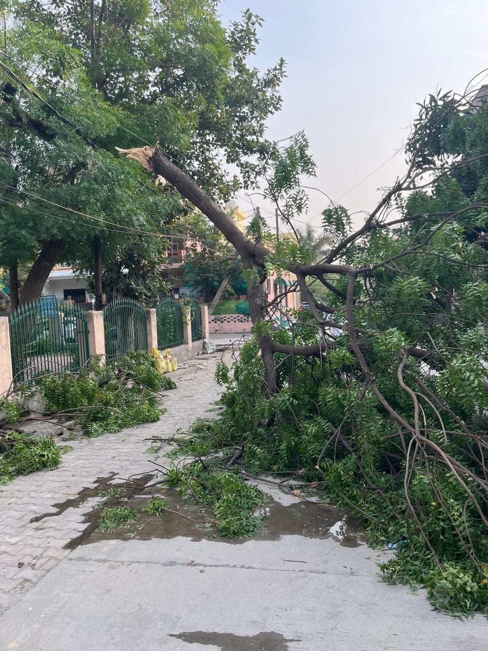 The storm which moved at a speed of 92 kilometers per hour broke trees and electricity poles, there was power failure for 7 hours.