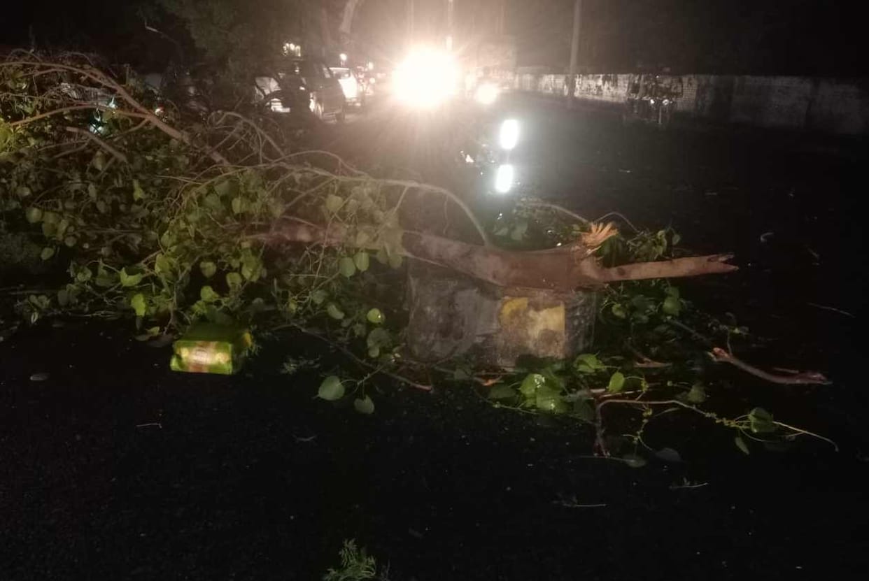 Trees uprooted by storm fell on car driver, causing jam