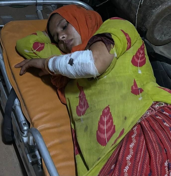 Woman shot over dispute over lifting broken tree