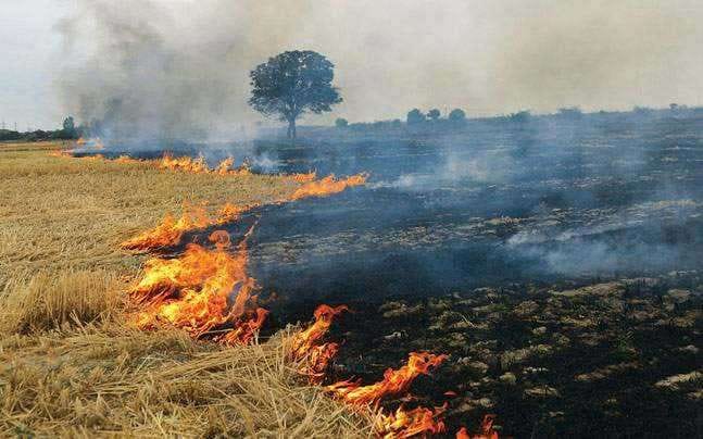 Rs 7500 fine on three people for burning crop residue