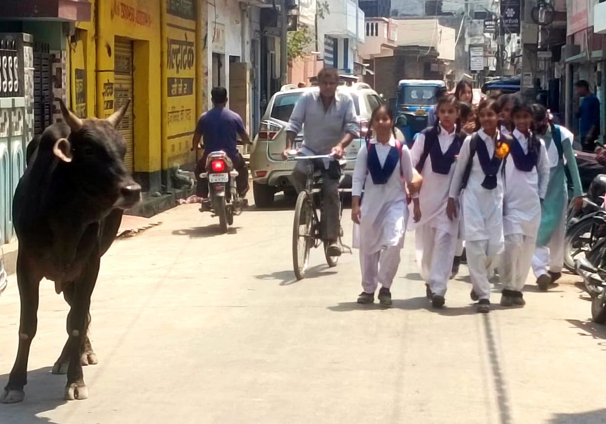 Voiceless on the road, life in danger