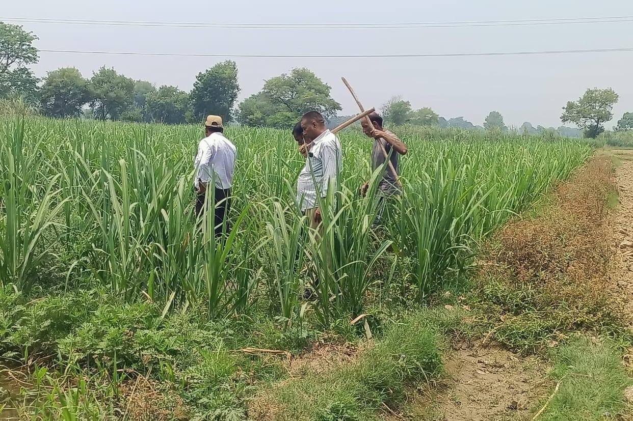 Now Guldar hunted Sehi, villagers scared