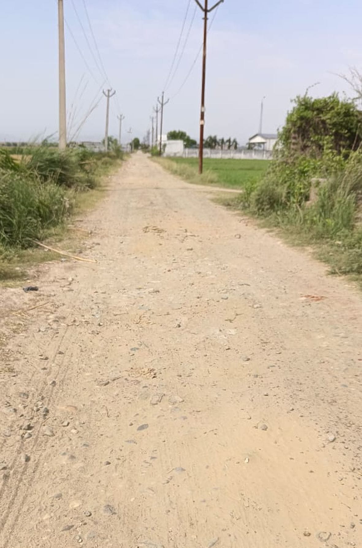 Tourists reaching Tumdiya Dam by passing through damaged road