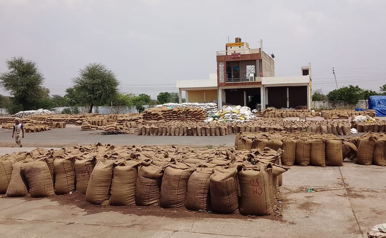 India has achieved heights in various sectors of agricultural production in the last 10 years