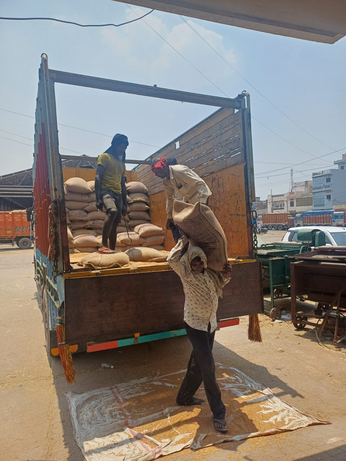 HAFED returned wheat citing lack of quality