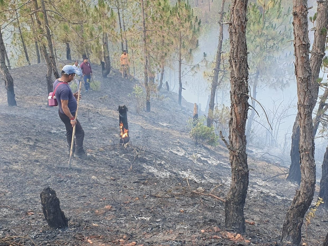 Forest workers brought the fire under control in Pati